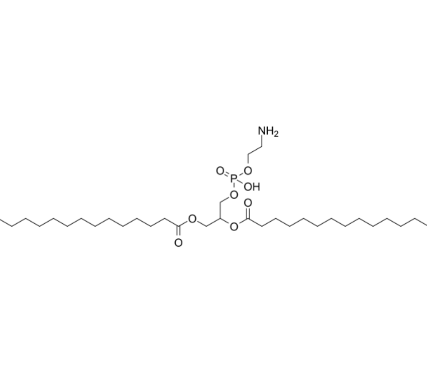 DMPE-PMOZ1000二肉豆蔻酰基磷脂酰乙醇胺-聚（2 -甲基- 2 -恶唑啉）1000的应用