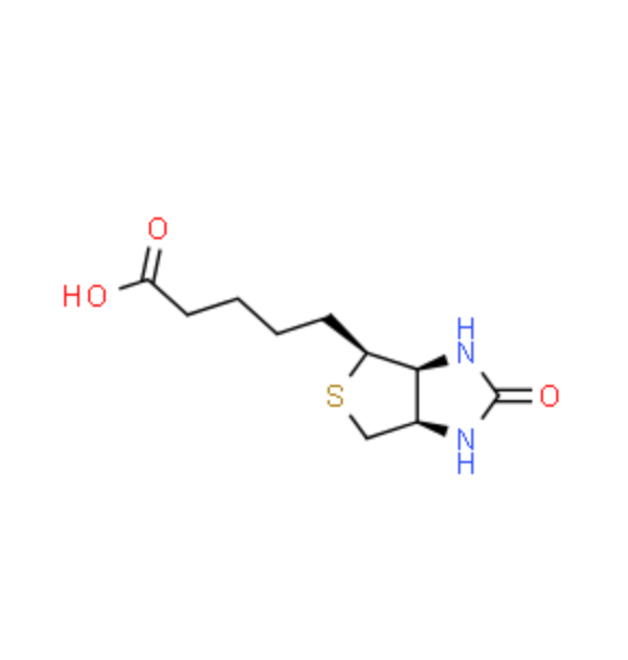 PLL(20)-g-[3.5]-PEG(2)-biotin 聚赖氨酸(20)-g-[3.5]-聚乙二醇(2)-生物素的性质特点  