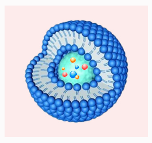 DiI修饰脂质体  DiI-Labeled Liposomes  DiI标记脂质体的应用介绍