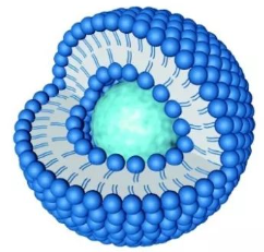 脂质纳米颗粒包裹 RNA1（含 MC3 成分）100nm LNP-RNA1（MC3）100nm的制备方法