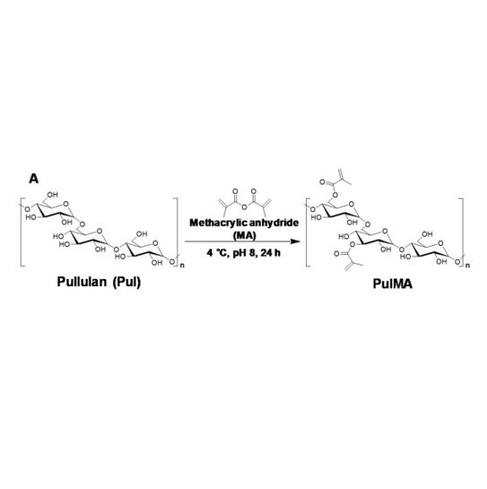 Pullulan在PulMA/PEGDA水凝胶合成中的应用