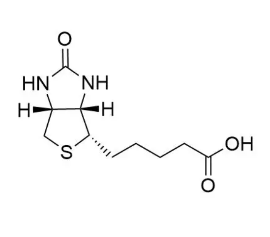 生物素