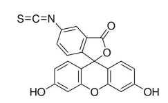 生物素-异硫氰酸荧光素 Biotin-FITC的优缺点
