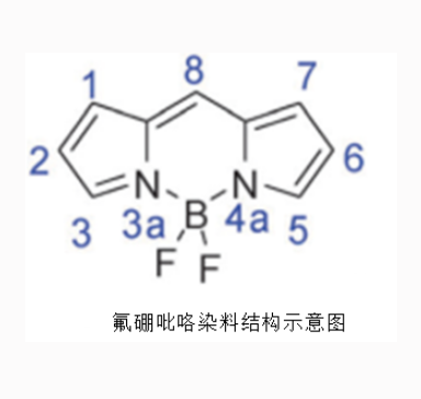 氟化硼络合二吡咯甲川类染料  Boron-dipyrromethene  氟硼吡咯的应用领域