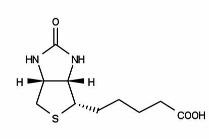 Biotin-Angiopep-2 生物素-Angiopep-2的制备方法