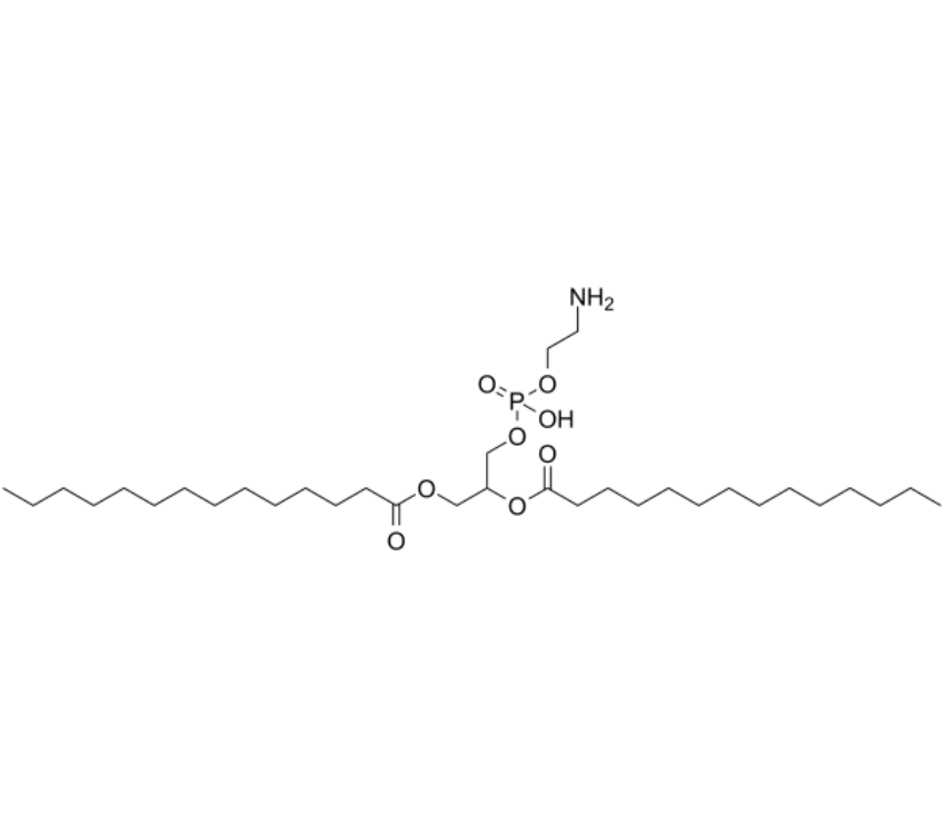 DMPE-PMOZ3000 1,2 - 十四酰基磷脂酰乙醇胺-聚（2 -甲基- 2 -恶唑啉）3000的特性 