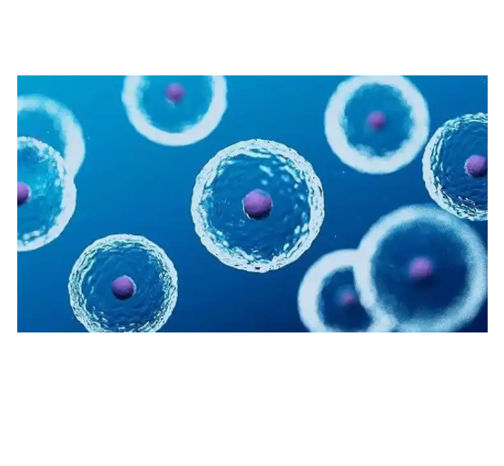 生物素标记在蛋白质相互作用研究中的关键技术与挑战