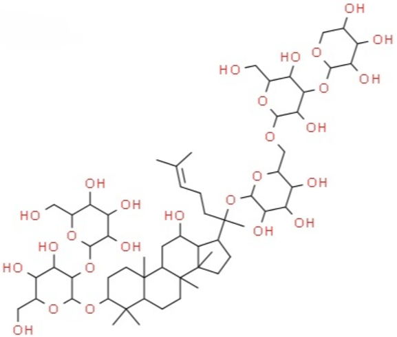 Ginsenoside Liposomes  人参皂苷脂质体的性质及特点