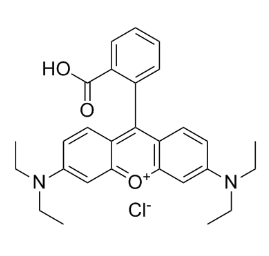 硅基罗丹明与传统罗丹明染料的性能对比