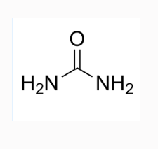 四甲基罗丹明-尿素酶  TRITC-Urease  TRITC-尿素酶（脲酶）的相关特性