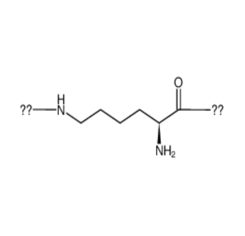 提高聚赖氨酸热稳定性的方法及机制研究