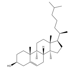 胆固醇用于氯膦酸脂质体制备