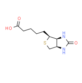 生物素：生命代谢中的关键辅酶角色揭秘