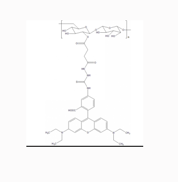 葡聚糖-罗丹明B  RB-Dextran  罗丹明B-右旋糖酐的应用领域
