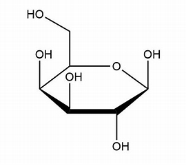 半乳糖代谢相关酶的结构与功能研究