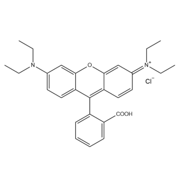 硅基罗丹明在生物成像中的优势