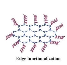 黑磷纳米片与蛋白质的相互作用及对生物相容性的影响