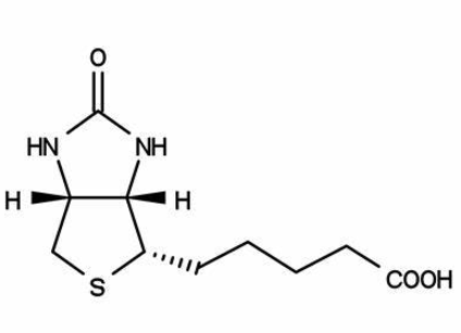 8 -臂聚乙二醇 -生物素在生物分子标记与检测中的应用
