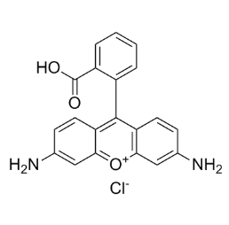 近红外硅基罗丹明的细胞摄取机制研究