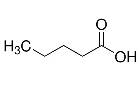 缬草酸调控基因表达的分子机制研究