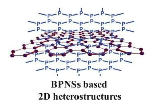 黑磷纳米片与脂质的相互作用及对生物相容性的影响