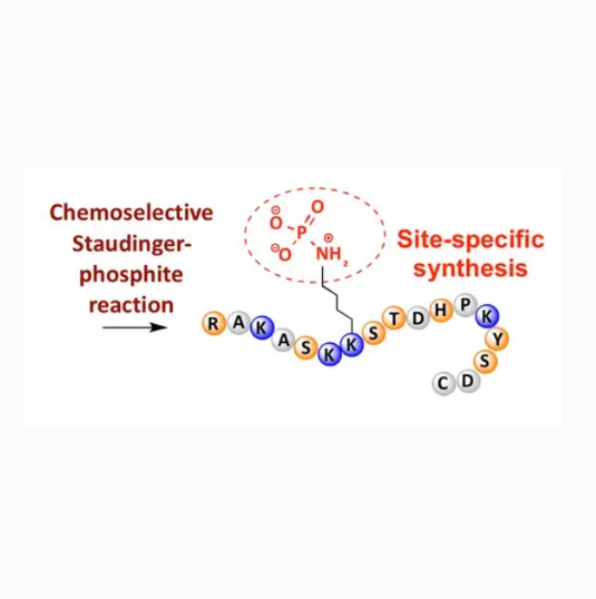 Dab-YEC-Hyp-Y(3-CL)-GVCYIQ的相关信息