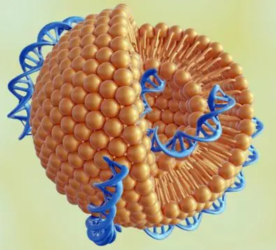 功能化改性纸质纳米粒子载体的制备及性能研究