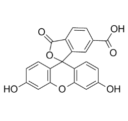 6-FAM-ZHer2,6-羧基荧光素- ZHer2 肽