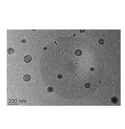 Fe3O4@PLGA-PEG-NH2 MNPs表征图像