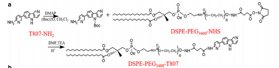 DSPE-PEG3400-T807的制备