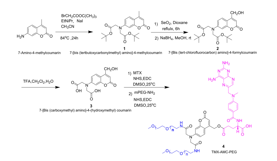 mPEG-NH2用于制备PEG化甲氨蝶呤-香豆素衍生物自组装成纳米颗粒