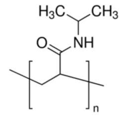 PNIPAM/PEG 共聚物的合成及其温敏性能的调控
