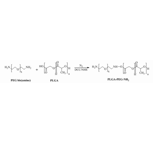利用酶固定化磁性纳米粒子系统快速筛选和鉴定红树林内生Fungi 中的Antitumor成分