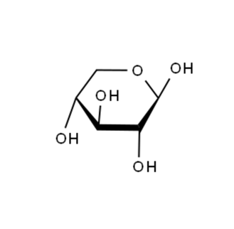 木聚糖的链构象及其对功能影响的研究