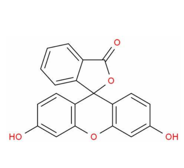 基于荧光素标记活性酯的生物传感器构建及应用
