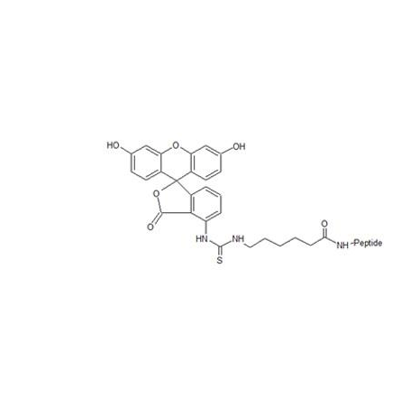 异硫氰酸荧光素标记CD38 FITC标记CD38（ARGDYYGSNSLDYW）的产品特性
