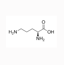 荧光素标记鸟氨酸  Ornithine-FITC  鸟氨酸-FITC的应用领域