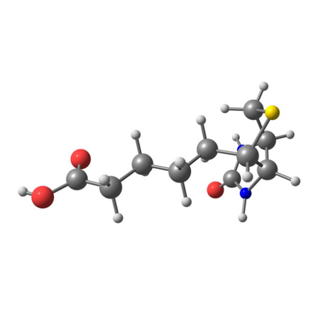 肽生物素的结构改造及其生物活性优化