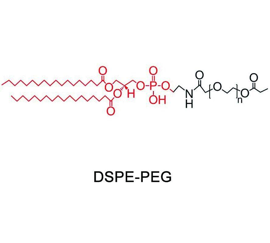 DSPE-PEG-12p1,二硬脂酰磷脂酰乙醇胺-聚乙二醇-12p1