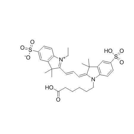 三甲川花菁染料标记亲和素 CY3-亲和素 CY3-Avidin的应用领域