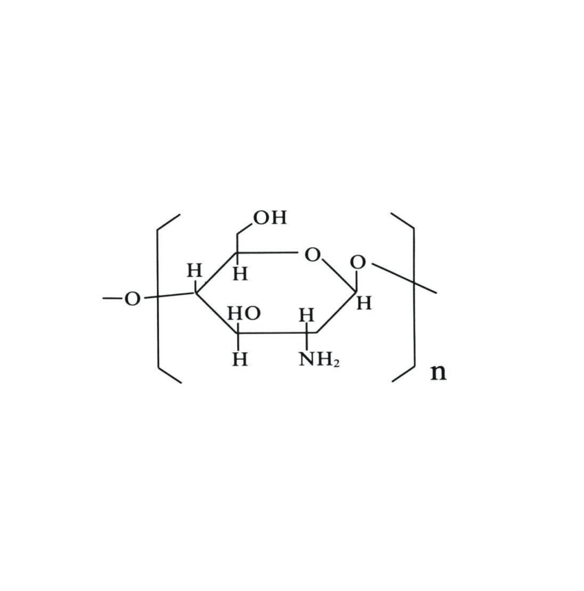 Chitosan modified by HTTIPKV HTTIPKV-壳聚糖的生物活性