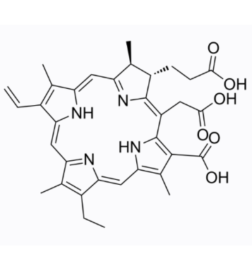 Chlorin e6 与生物分子的相互作用机制