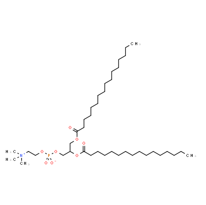 DPPC 类似物的生物活性