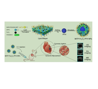 A non-invasive nanoparticles for multimodal imaging of ischemic myocardium in rats