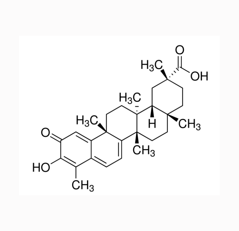 甲氧基聚乙二醇化-酮缩硫醇-雷公藤红素 mPEG2K-TK-Celastrol的相关应用
