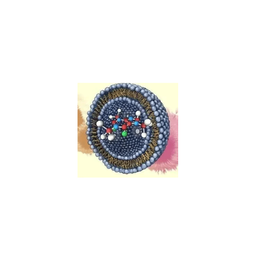 抗体偶联脂质体包裹NS-siRNA的性质特点