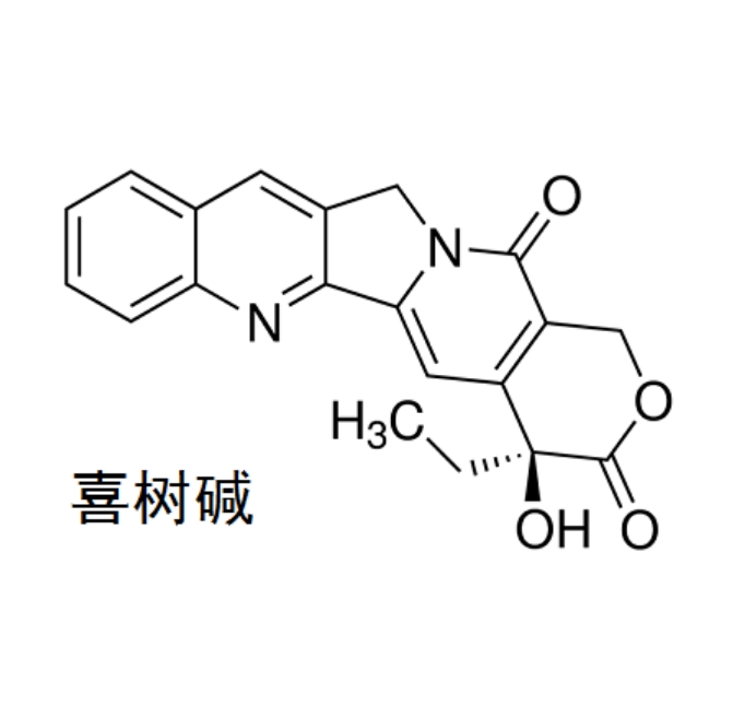 喜树碱的化学结构与性质解析