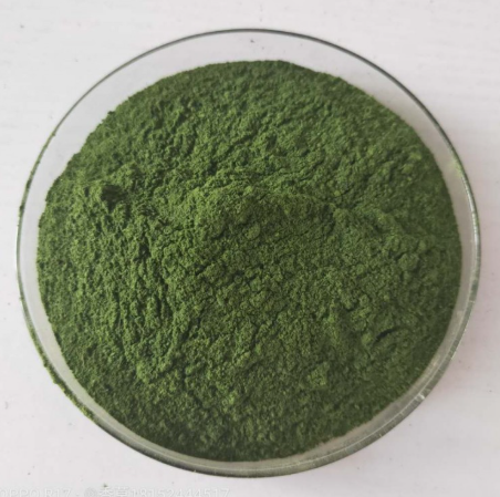 Chlorin e6 的稳定性及其影响因素