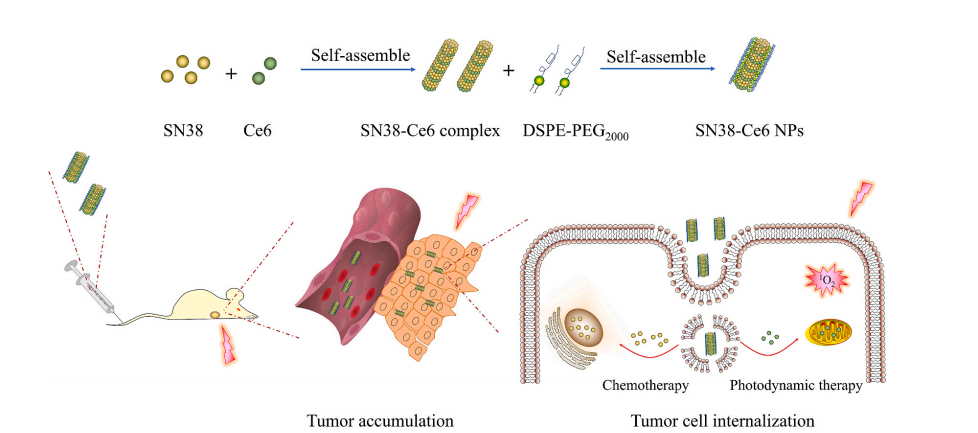  DSPE-PEG在SN38-Ce6复合物和生物相容性嵌段聚合物中的应用