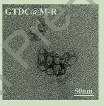 GTDC@M-R NPs的TEM图像
